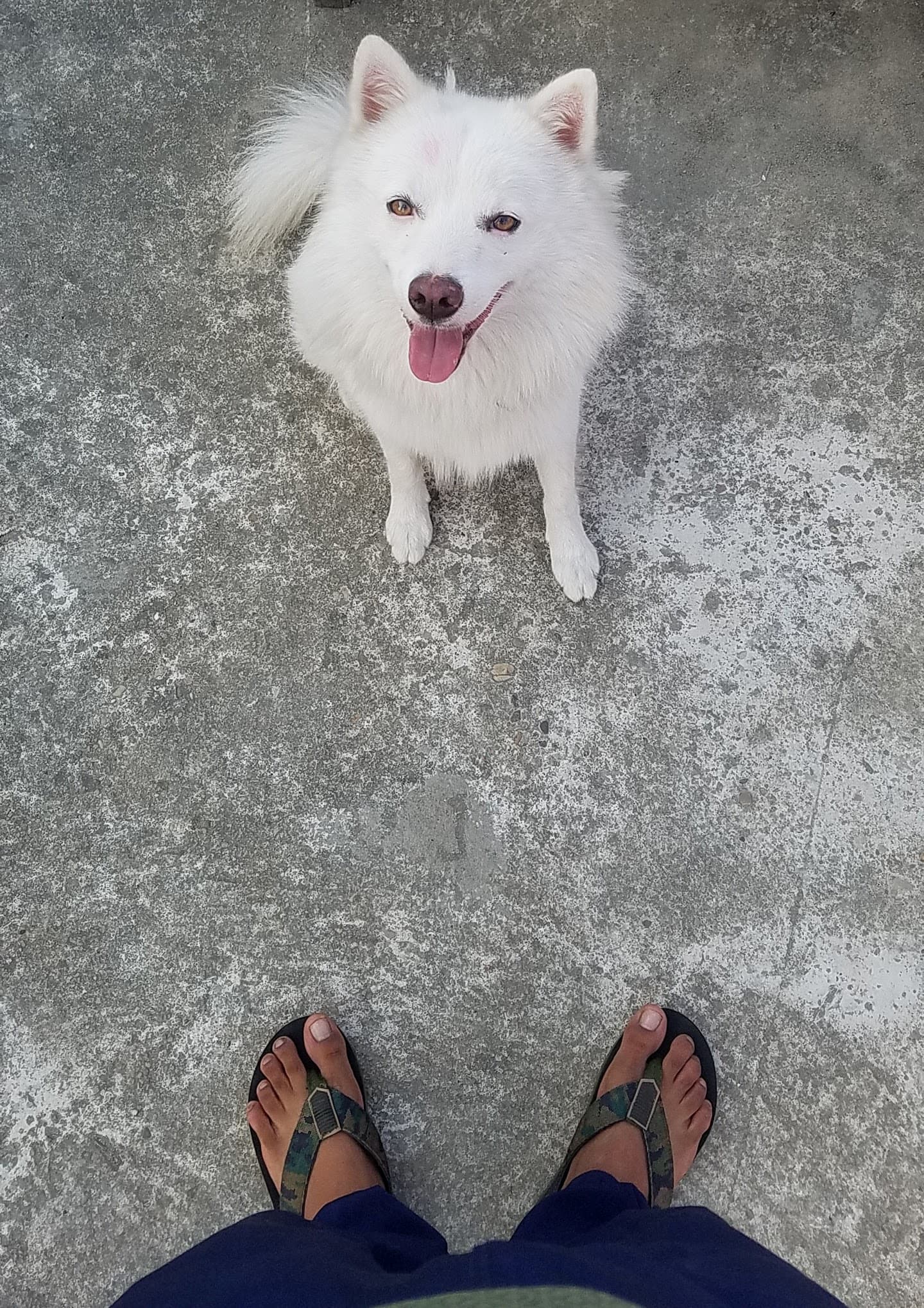 Tathya Ecommerce Project